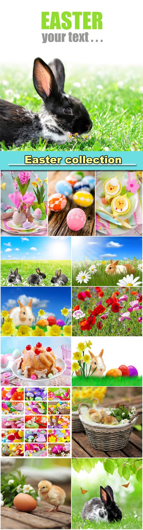 Easter collection, rabbits and chickens, Easter eggs