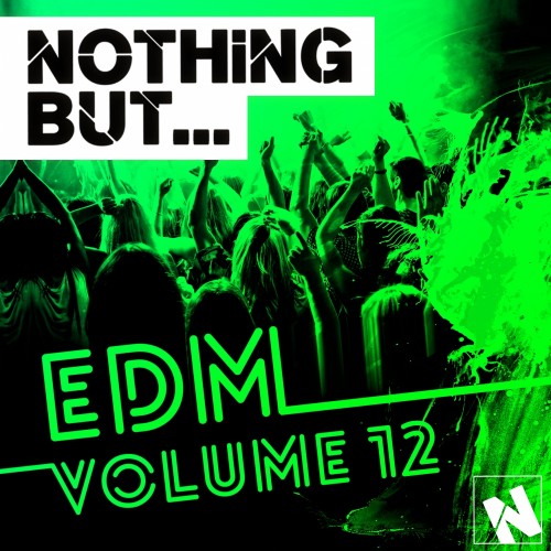 Nothing But... EDM, Vol. 12 (2016)
