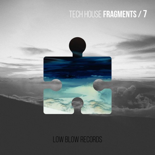 Tech House Fragments 7 (2016)