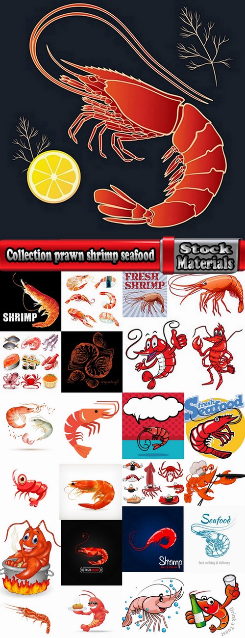 Collection prawn shrimp seafood menu vector image 25 EPS