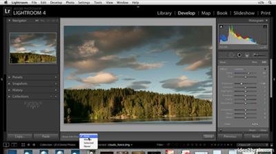 Adobe Photoshop Lightroom 4: Learn by Video