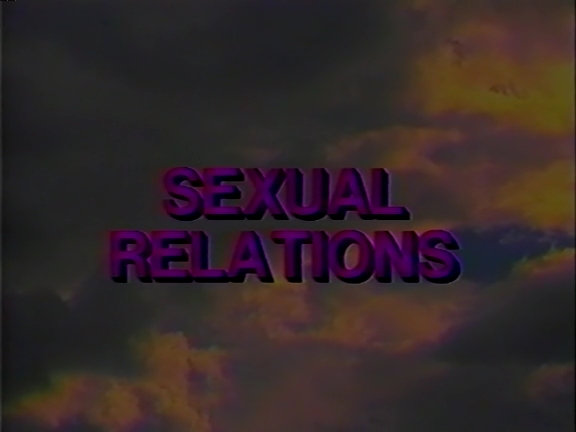 Sexual Relations (Anthony Spinelli, CDI Home Video) [1990 ., All Sex, VHSRip]
