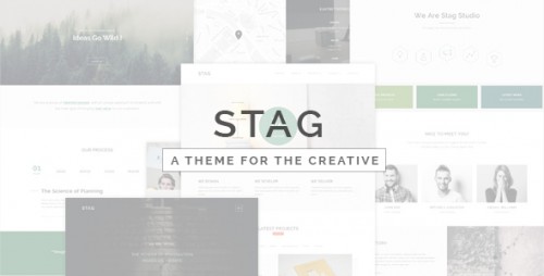 Nulled Stag v1.3 - Portfolio Theme for Freelancers and Agencies cover