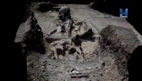  .   / The Skeleton of Lewes / Medieval Dead (2014) SATRip