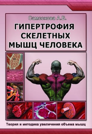 А.В. Cамсонова - Гипертрофия скелетных мышц человека