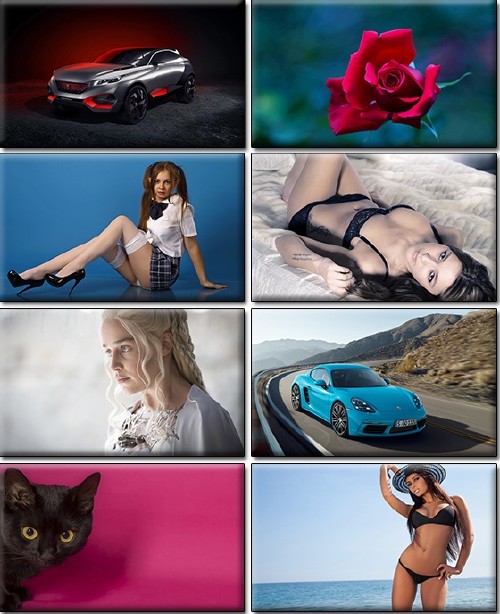 LIFEstyle News MiXture Images. Wallpapers Part (1023)