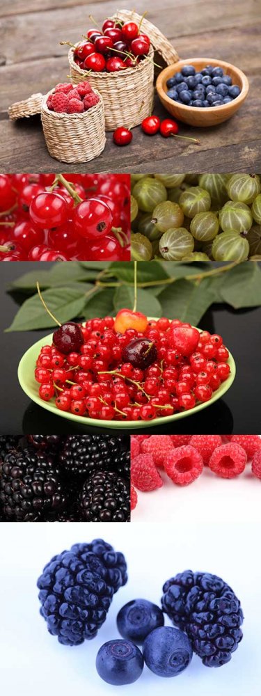 Fruit Berries 2