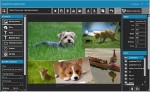 dslrBooth Photo Booth Software 5.7.31.1 Pro Portable ML/RUS/2016