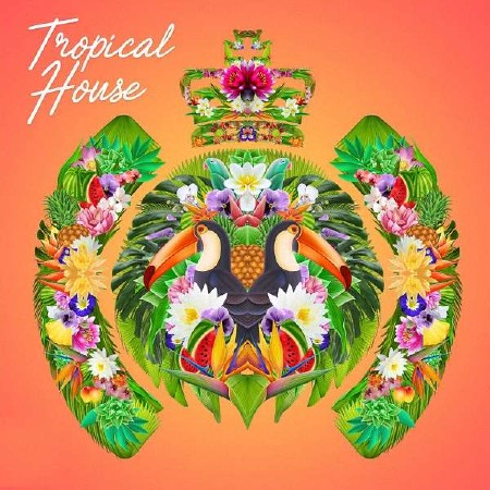 VA - Tropical House (2016) 
