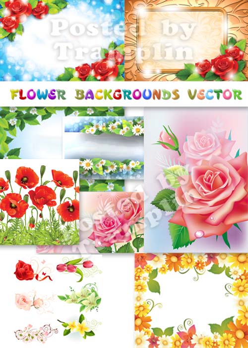 Цветочные фоны в векторе - Розы, ромашки, лилии, маки