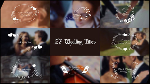 Wedding Titles 17267979 - Project for After Effects (Videohive)