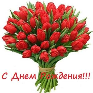 Поздравляем с Днем Рождения Соню Петрову (koko5) Ffd5738396af77a4e3e872bcef62ec11